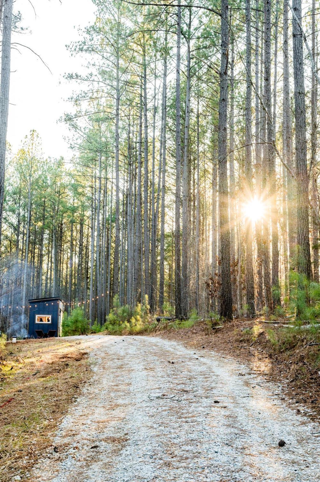 فيلا Pine Creek Tiny House Amherst المظهر الخارجي الصورة