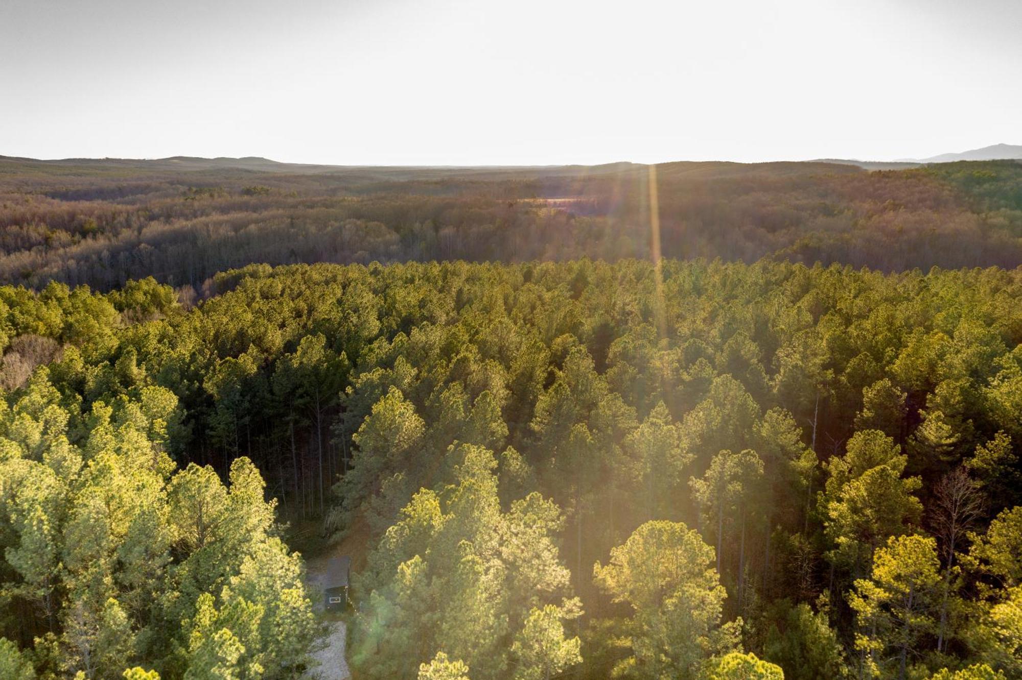 فيلا Pine Creek Tiny House Amherst المظهر الخارجي الصورة