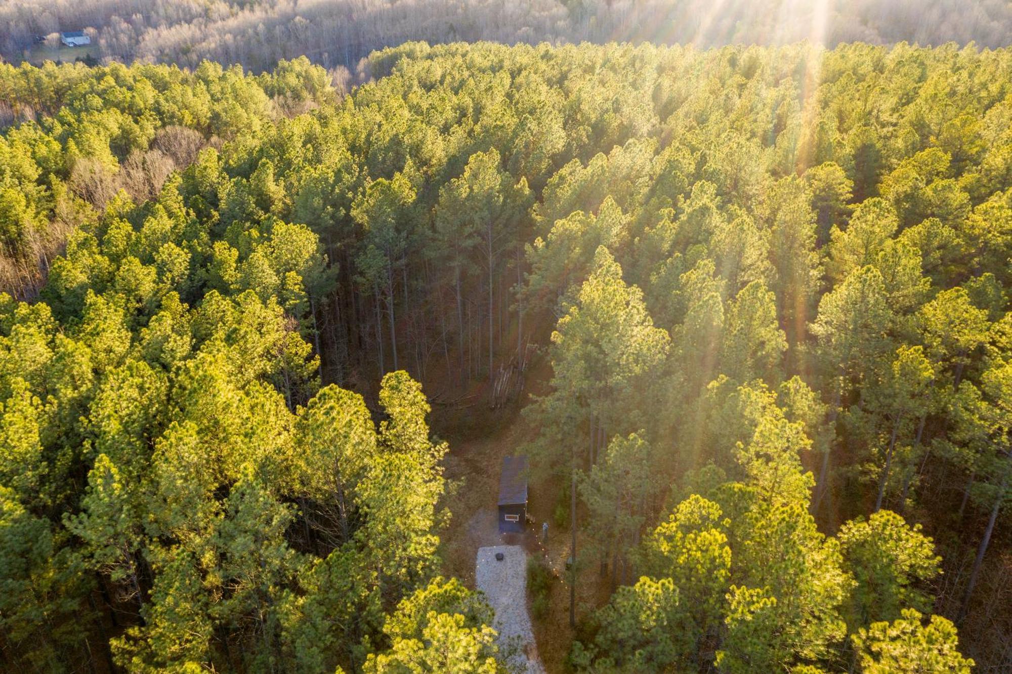 فيلا Pine Creek Tiny House Amherst المظهر الخارجي الصورة